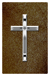 DF35T 510 SL SH BR Silver Single Cross Shimmer Brown Background